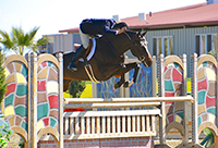 John French at HITS Thermal Desert Horse Park on Ultime Espoir.<br> Elena DeSanti Photography